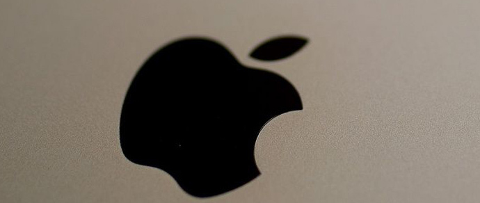 Владелец торговой марки iFon требует запретить iPhone в Индии