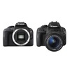 Появились первые фотографии зеркальной камеры Canon EOS-b