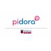 Разработчики Pidora извинились за название ОС