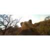 GoPro на спине львицы сняла охоту животного