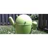 Хакеры нашли способ прятать Android-вирусы в картинках