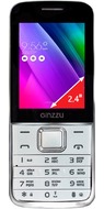 Ginzzu M101 Dual rev.2