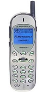 Motorola T250