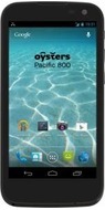 Oysters Pacific 800