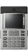 Samsung SGH-P300