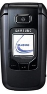 Samsung SGH-Z310