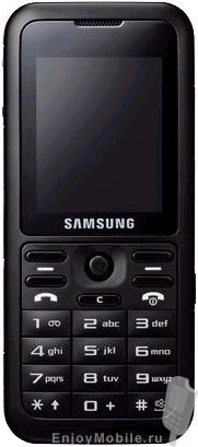 Samsung SGH-J210