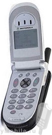 Motorola v66