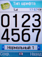 Сотовый телефон Samsung SGH-Z540