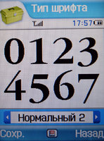 Сотовый телефон Samsung SGH-Z540