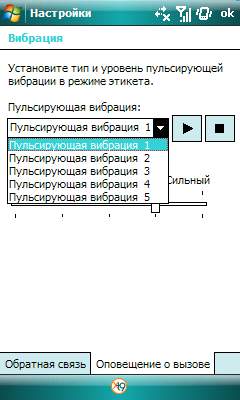 Обзор коммуникатора Samsung WiTu